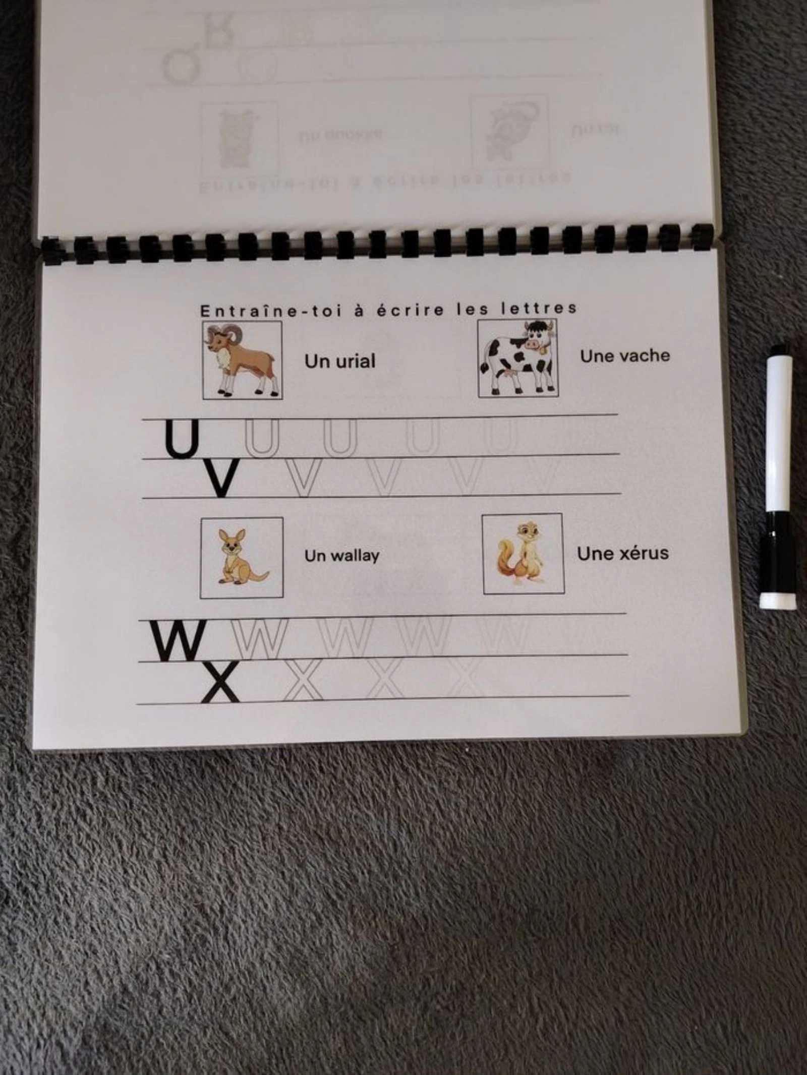 Activiteitenboek om hoofdletters te leren schrijven – photo 7